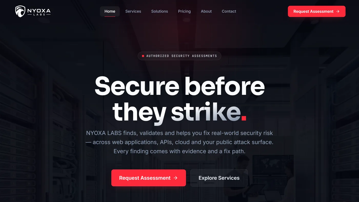 Preview of the nyoxa.com website homepage